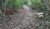 Tour Wandern Saint-François - anse à l'eau rando - Photo 5