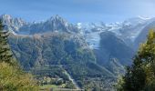 Tocht Stappen Chamonix-Mont-Blanc - 20231012 Chamonix Bois Prin Gaillants - Photo 4