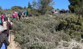 Randonnée Marche Mérindol - PF-Mérindol - Dessus de Mérindol par les Chemins de l'Apied et des Bouigues - Vallon des Porcs - CP - Photo 7