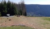 Tocht Stappen Bad Wildbad - Baumwipfelpfad et Wildline à Bad Wildbad dans le Schwarzwald - Photo 4