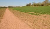 Tour Zu Fuß Malvern Hills - Martley Circular Walk - Photo 5