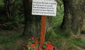 Randonnée A pied Bad Herrenalb - Große Runde über die Teufelsmühle - Photo 8