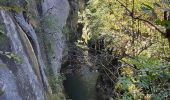 Percorso Sentiero Entre-deux-Guiers - camping arc en ciel- St Christophe sur guiers - Photo 2