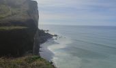 Excursión Senderismo Étretat - Etretat - Yport par le GR 21 - Photo 5