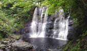Trail Walking Belfast - glenarif forest park - waterfalls - Photo 8