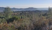 Trail Walking La Cadière-d'Azur - Télégraphe par la Louisiane  - Photo 1