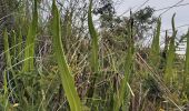 Tocht Stappen Quiroga - Laguna de Cuicocha - Photo 19