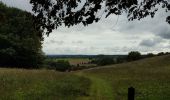 Trail Walking Belforêt-en-Perche - la perrière par la forêt  - Photo 3