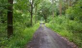 Tour Zu Fuß Neustadt am Rübenberge - Schneeren Rundwanderweg S2 - Photo 7