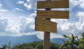 Tour Wandern La Thuile - La Thule 01-06-2021 - Photo 3
