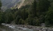 Tour Wandern Vallouise-Pelvoux - Cascade de la Pisse et pont des places - Photo 10