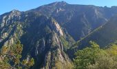 Randonnée Marche Vernet-les-Bains - Jour 1 Canigou 04.10.2022 - Photo 18