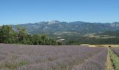 Trail Walking Montmaur-en-Diois - Forêt, lavandes et Vieux Village - Photo 2