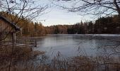 Tour Wandern Girmont-Val-d'Ajol - 01-01-25 circuit des étangs Girmont-val- d'Ajol - Photo 1