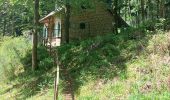 Randonnée Marche Walscheid - Elsassblick,Refuge des Bûcherons, Altmatt,M.F. du Grossmann  - Photo 1