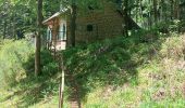 Tocht Stappen Walscheid - Elsassblick,Refuge des Bûcherons, Altmatt,M.F. du Grossmann  - Photo 1