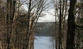 Tocht Te voet Roetgen - Struffelt-Route (Eifel) - Photo 3