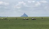 Tour Wandern Courtils - La Roche Torin - le bas courtils - Photo 8