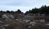 Trail Walking Cipières - De Cipieres au plateau de Cavillore - Photo 1