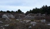 Percorso Marcia Cipières - De Cipieres au plateau de Cavillore - Photo 1