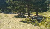 Trail Walking Rimon-et-Savel - Rimon-et-Savel CKCC - Photo 19