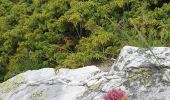 Percorso Marcia Pralognan-la-Vanoise - Rocher de Villeneuve - Photo 3