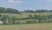 Tour Wandern Bleiberg - 20200527 - Hombourg 11 Km - Photo 13