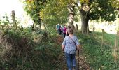 Tour Wandern Blegny - Mortier promenade d’automne ensoleillé  - Photo 19