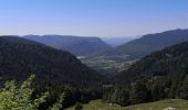 Tour Wandern Bellecombe-en-Bauges - boucle de la Bornette - Photo 1