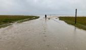 Percorso Marcia Le Crotoy - Petit tour en baie de Somme - Photo 1