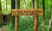 Tocht Stappen Fontaine-l'Évêque - Balade en forêt Domanial de Leernes  - Photo 4