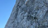 Tocht Stappen Gigondas - Dentelles de Montmirail - Photo 16