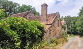 Tocht Stappen Voulx - Entre Yonne et Orvalle  - Photo 8