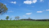 Tour Wandern Feitweiler - rando honville 18-05-2023 - Photo 4