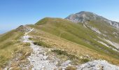 Trail On foot L'Aquila - IT-214 - Photo 3