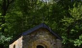 Tour Wandern Gedinne - RB-Na-30-La Croix-Scaille - Photo 4