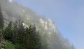 Excursión Senderismo Fillière - GLIERES / BORNES: SOUS DINE AU DEPART DE LES CHENEVIERS...  - Photo 4