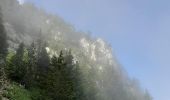 Tocht Stappen Fillière - GLIERES / BORNES: SOUS DINE AU DEPART DE LES CHENEVIERS...  - Photo 4