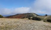 Trail Walking Cabrières-d'Aigues - le Mourre Nègre - Photo 10