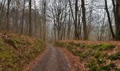 Tocht Stappen Comblain-au-Pont - 2021-04-04_15h31m49_Cirkwi-Autour_de_Comblain-au-Pont_-_Promenade_9___Grotte_-_Raideux_-_Anthisnes_-_Les_Stepennes_-_Géromont - Photo 6