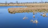 Randonnée Marche Emmen - Bargerveen - Photo 14