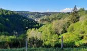 Tocht Stappen Cheylard-l'Évêque - cheylard - la bastide - Photo 14