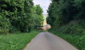 Percorso Marcia Bouxières-aux-Chênes - bouxieres aux chênes - la tour de crany - Photo 1