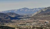 Tour Wandern Château-Arnoux-Saint-Auban - CHATEAU ARNOUX Le sentier des bruyeres o - Photo 4