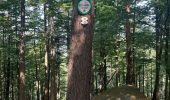 Trail  Obernai - MUR PAÏEN MONT STE ODILE  - Photo 17
