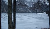 Percorso A piedi Tarvisio - Giro del Lago - Photo 8