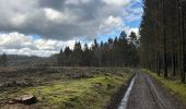 Trail Walking Gouvy - Gouvy 23 km  - Photo 11