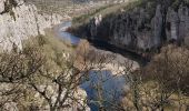 Tour Wandern Berrias-et-Casteljau - Chassezac cirque du Casteljau - Photo 5