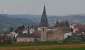 Percorso A piedi Bad Mergentheim - Schönbühler Weg - Photo 4