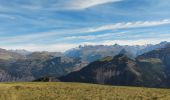 Tocht Stappen Ornon - Plateau des lacs, lac Fourchu. par bergerie - Photo 4